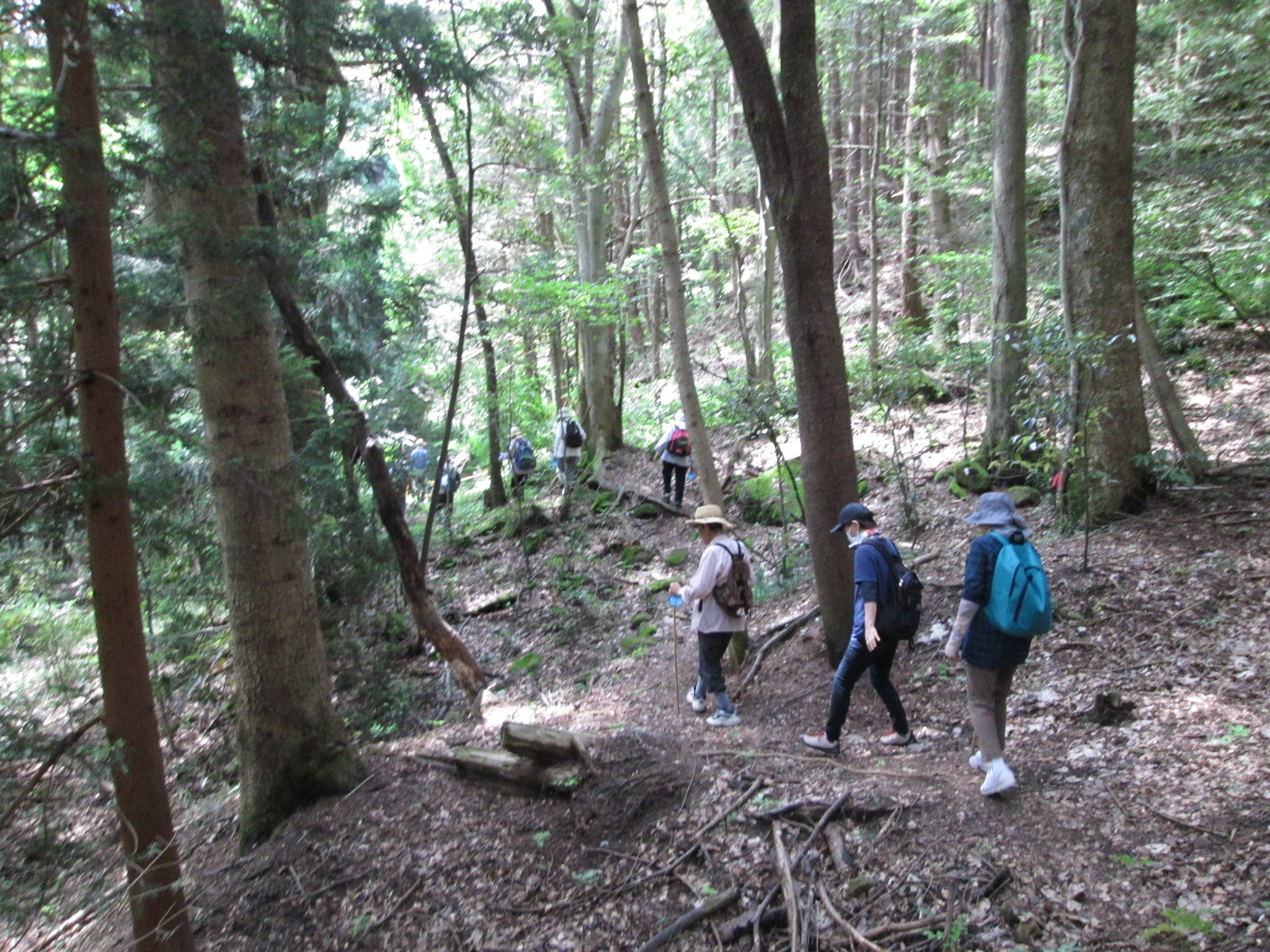 塩手山登山の様子