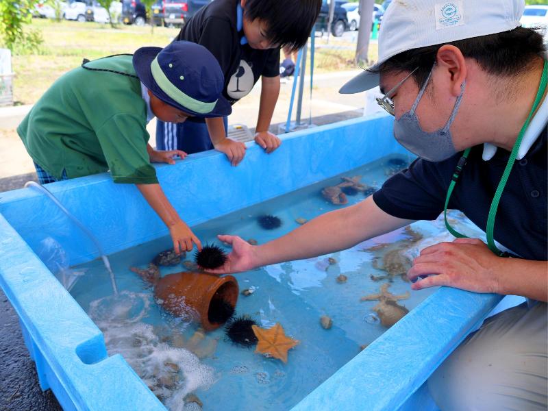 わくわく水族館を楽様子様子