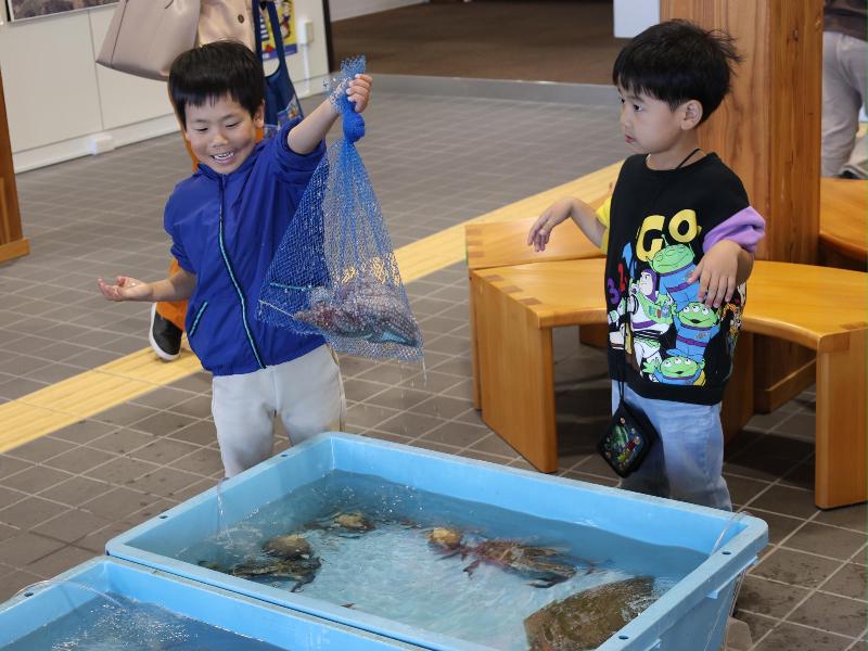 磯部水産加工施設のお魚タッチプールで遊ぶ子どもの様子