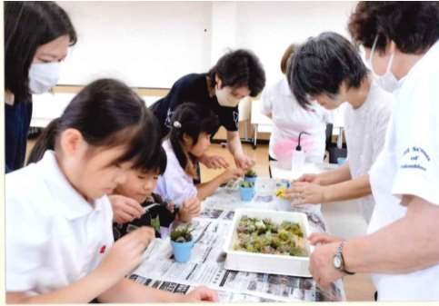 多肉植物アレンジメントの様子