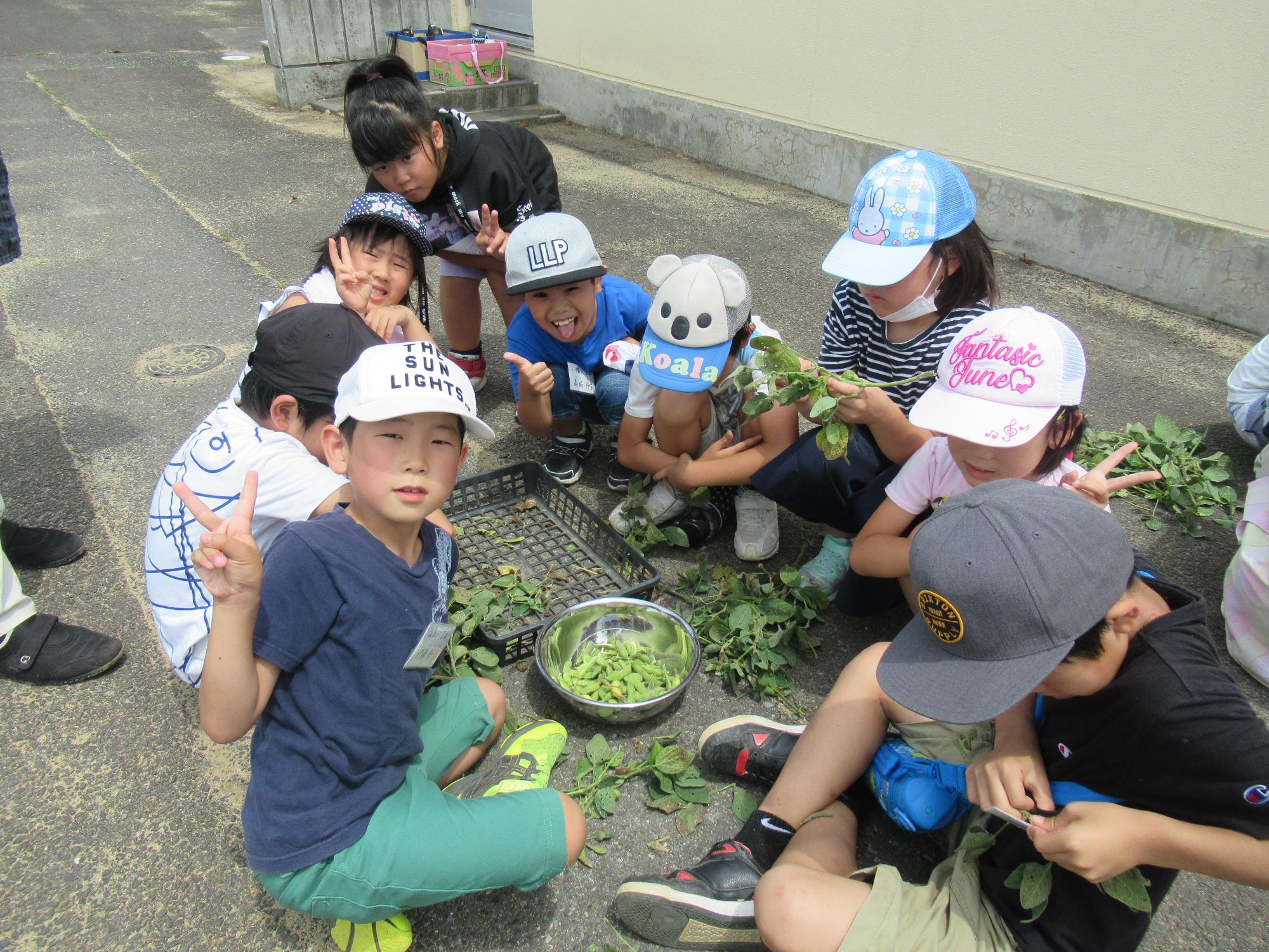 放課後児童クラブでの野菜つくり風景写真