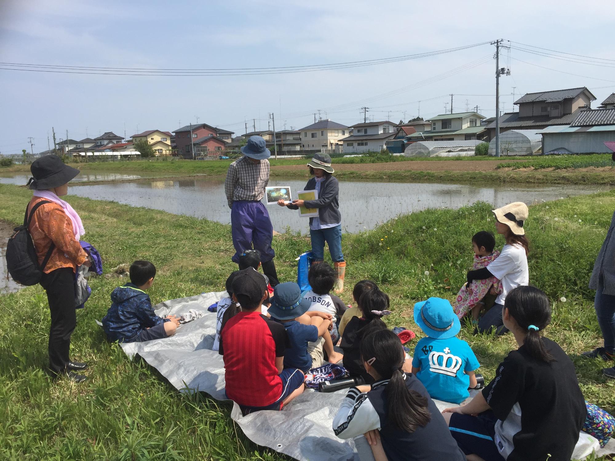 田んぼの生き物の説明を行う様子