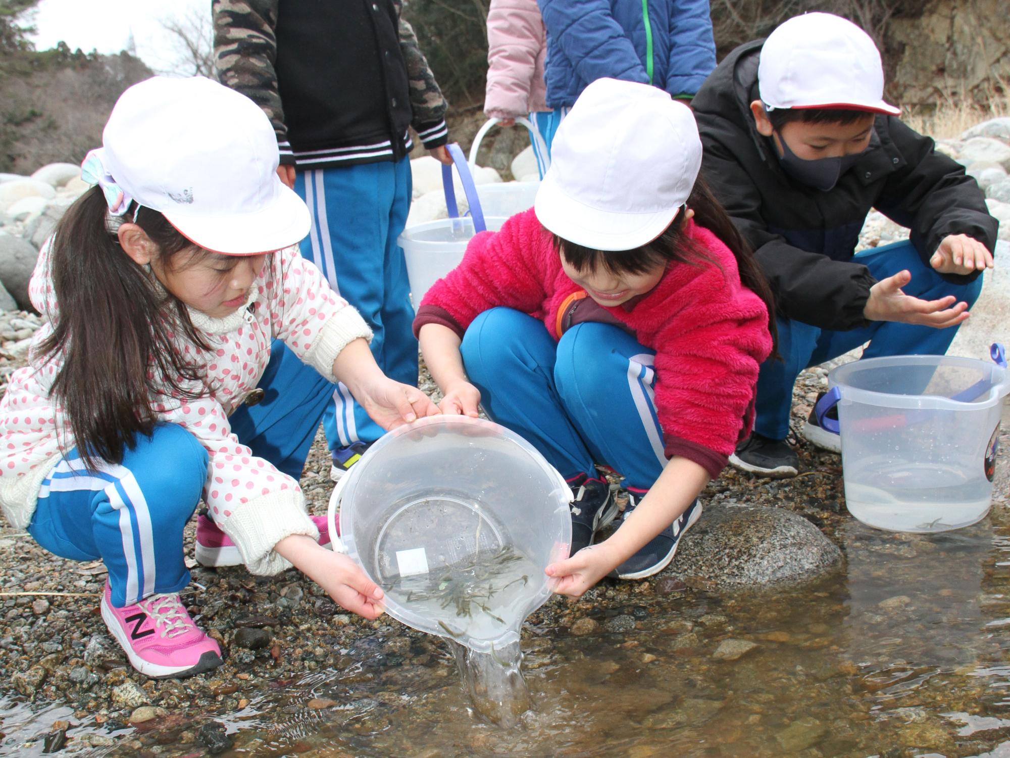 宇多川河川敷でサケ稚魚の放流を行う山上小学校の児童の様子