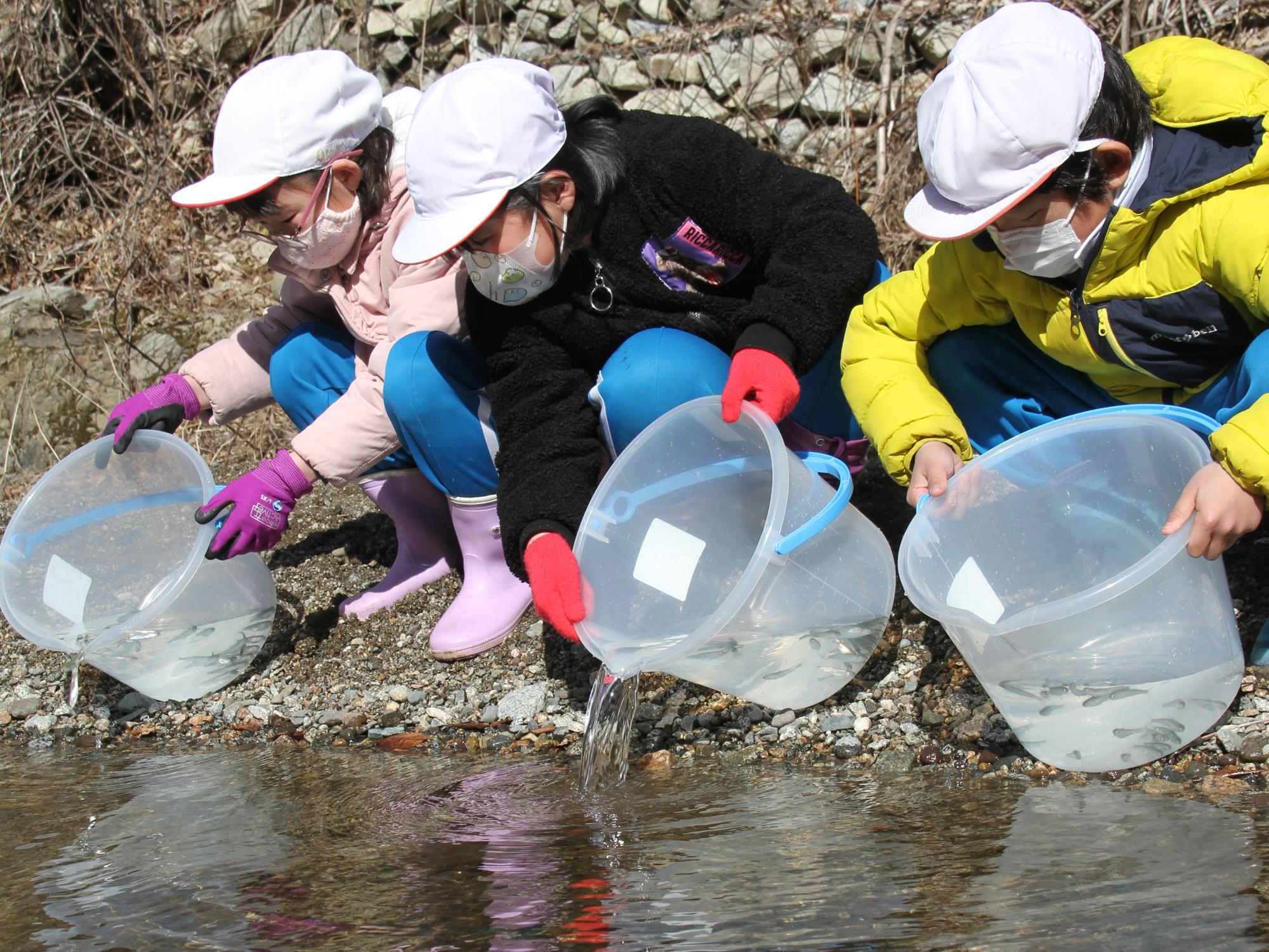 山上小学校の児童らが宇多川にサケ稚魚を放流する様子