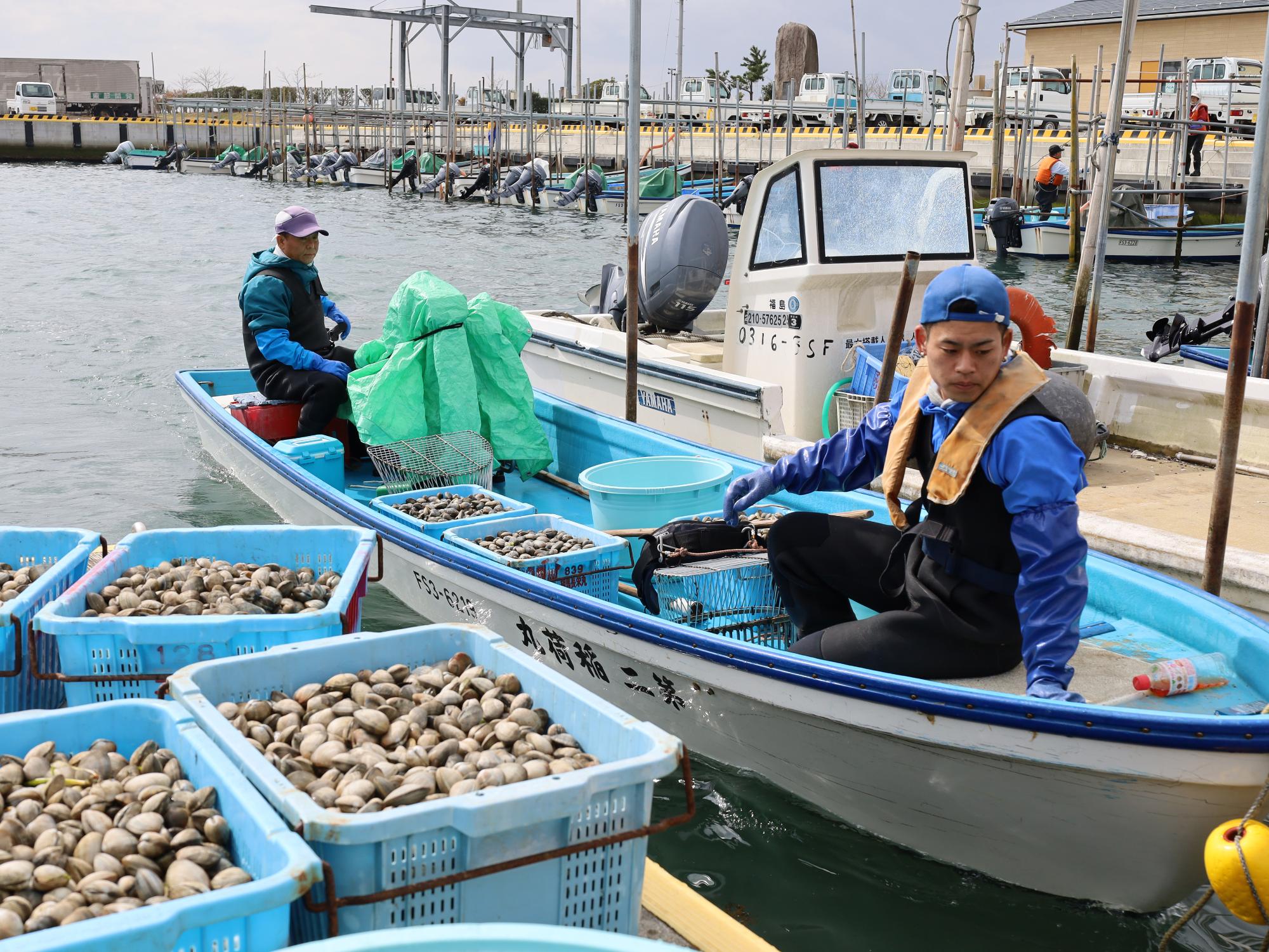 相馬双葉漁業協同組合松川浦支所に船着き場に今季初のアサリが水揚げされる様子