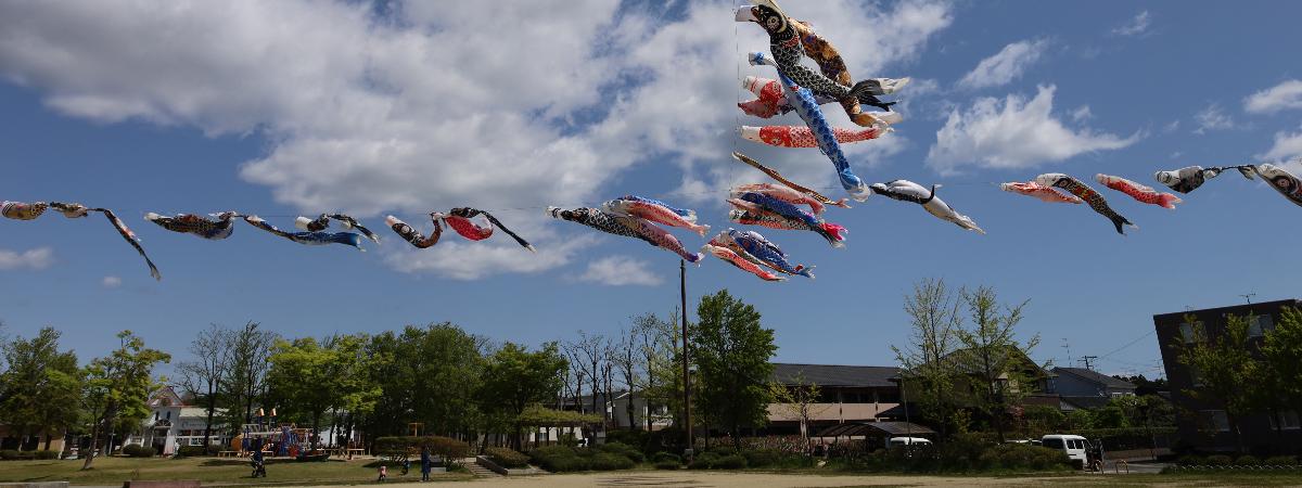 川沼西公園のこいのぼり