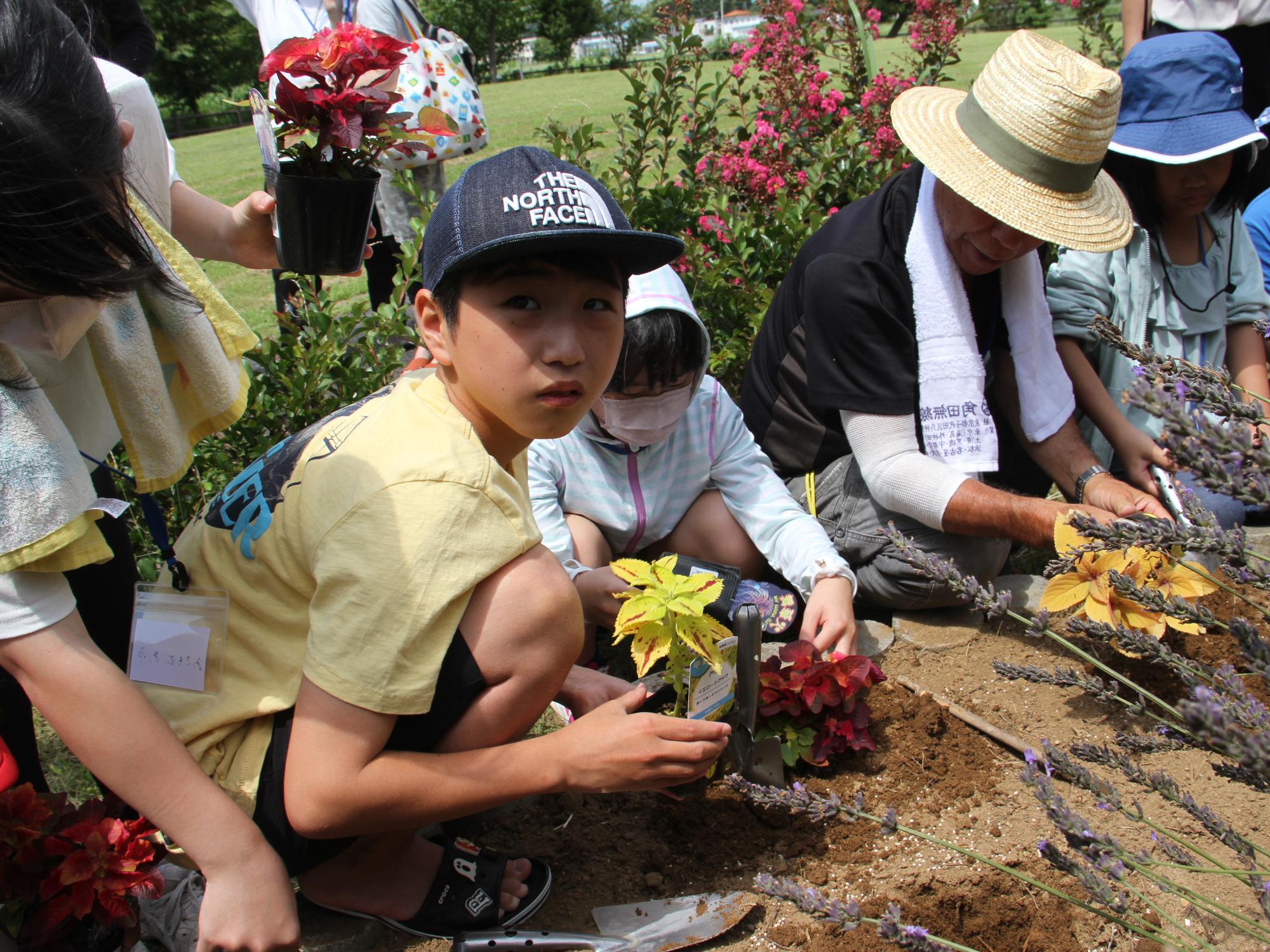ワクワク子ども塾で、松川浦環境公園内交流花壇に花を植える様子