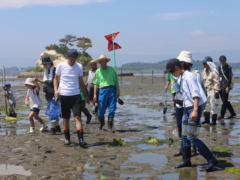 松川浦の干潟を探索する様子