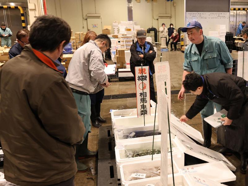 魚類初競りの様子