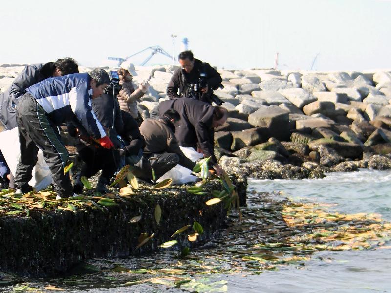 木の葉の舟を流す様子
