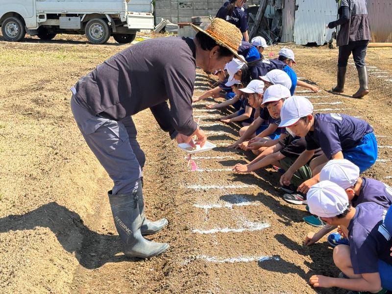 大豆を植える児童ら