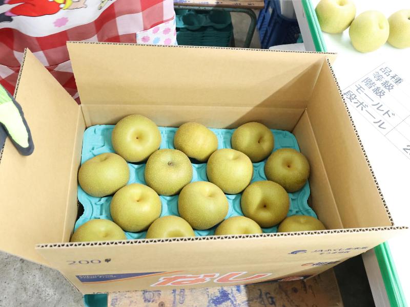 箱詰めされたナシ