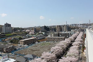 稲城市の市街地の写真