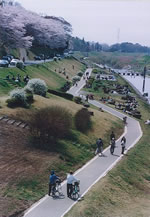 流山市サイクリングロード